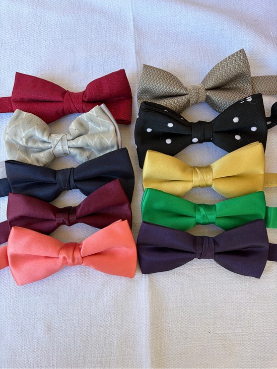 Other - Bundle of 10 assorted pre made bow ties combo 7